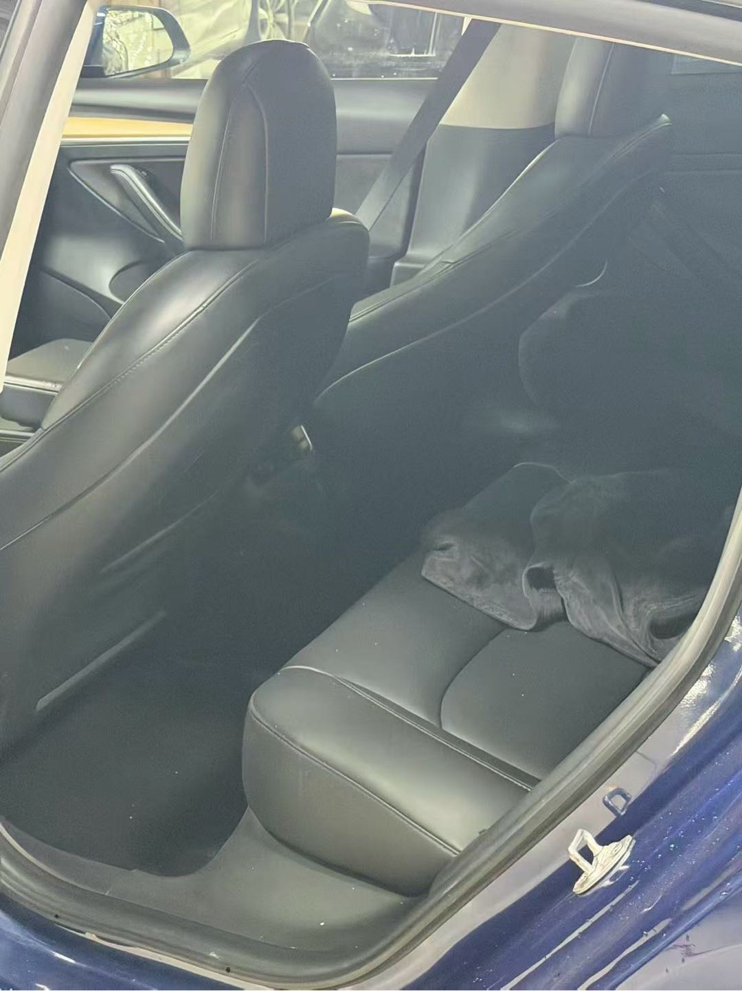 Tesla Model 3 2021 #6 Tesla Model 3 2021 car image #6