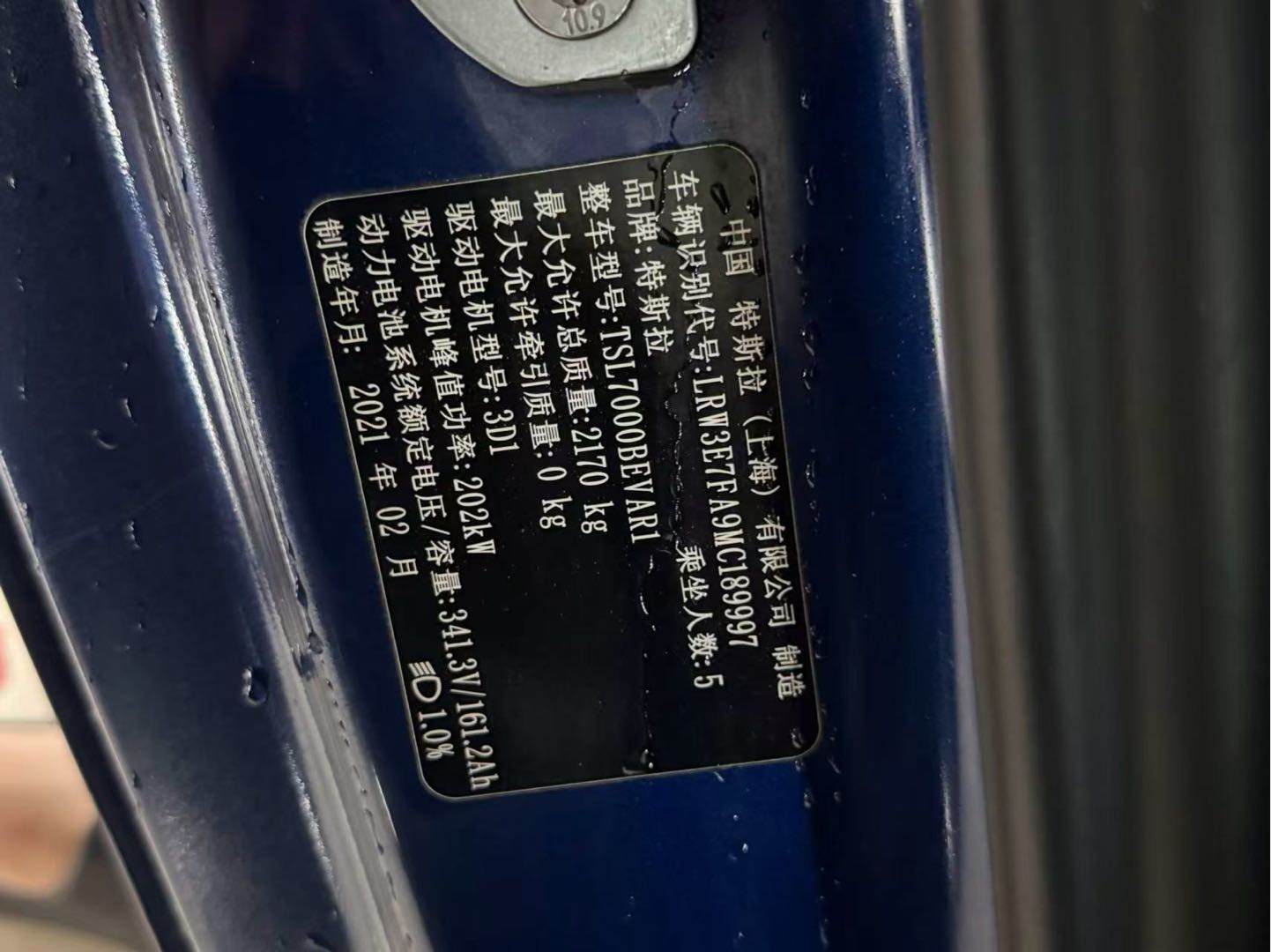 Tesla Model 3 2021 #3 Tesla Model 3 2021 car image #3