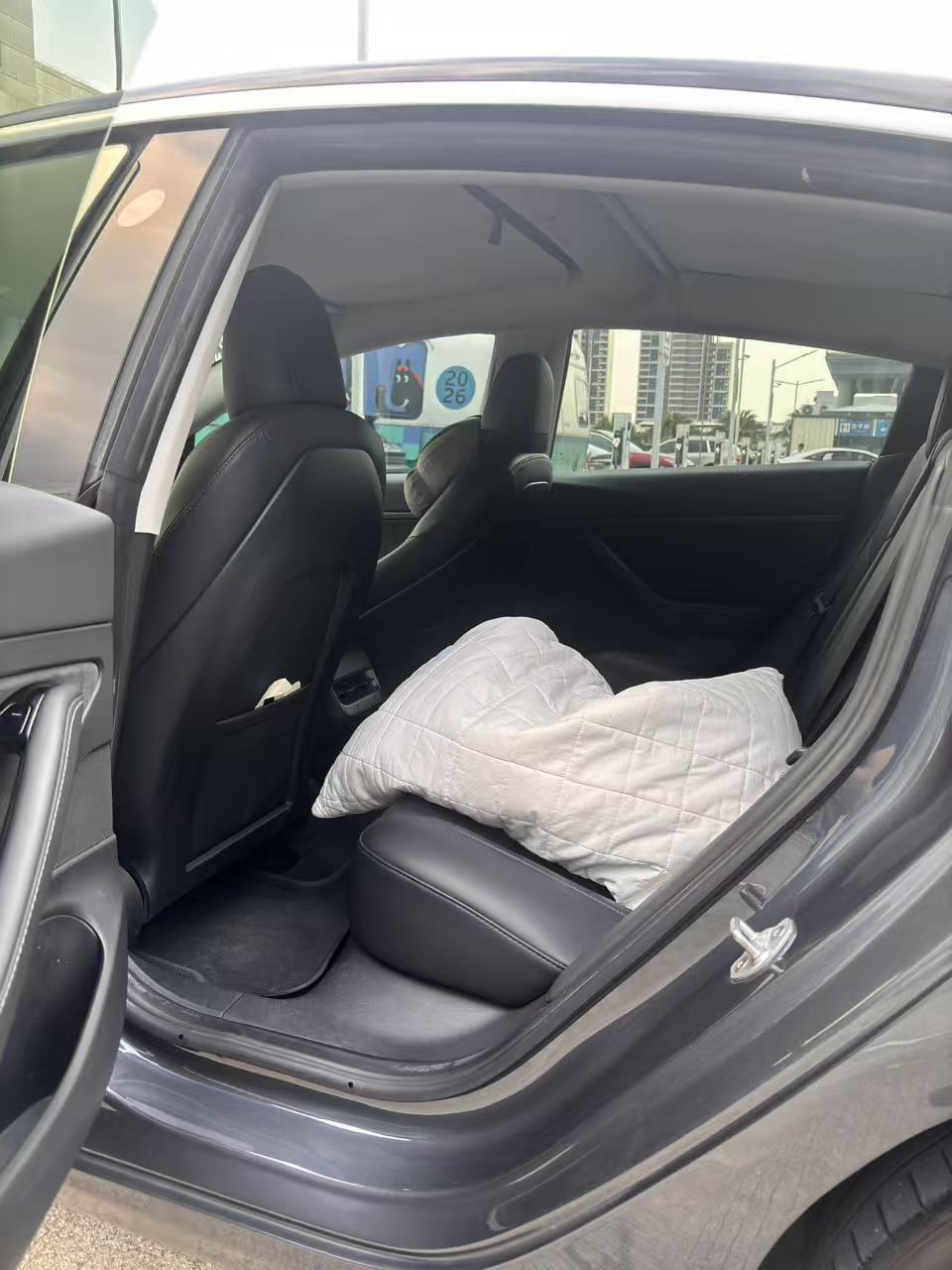 Tesla Model 3 2020 car image #5
