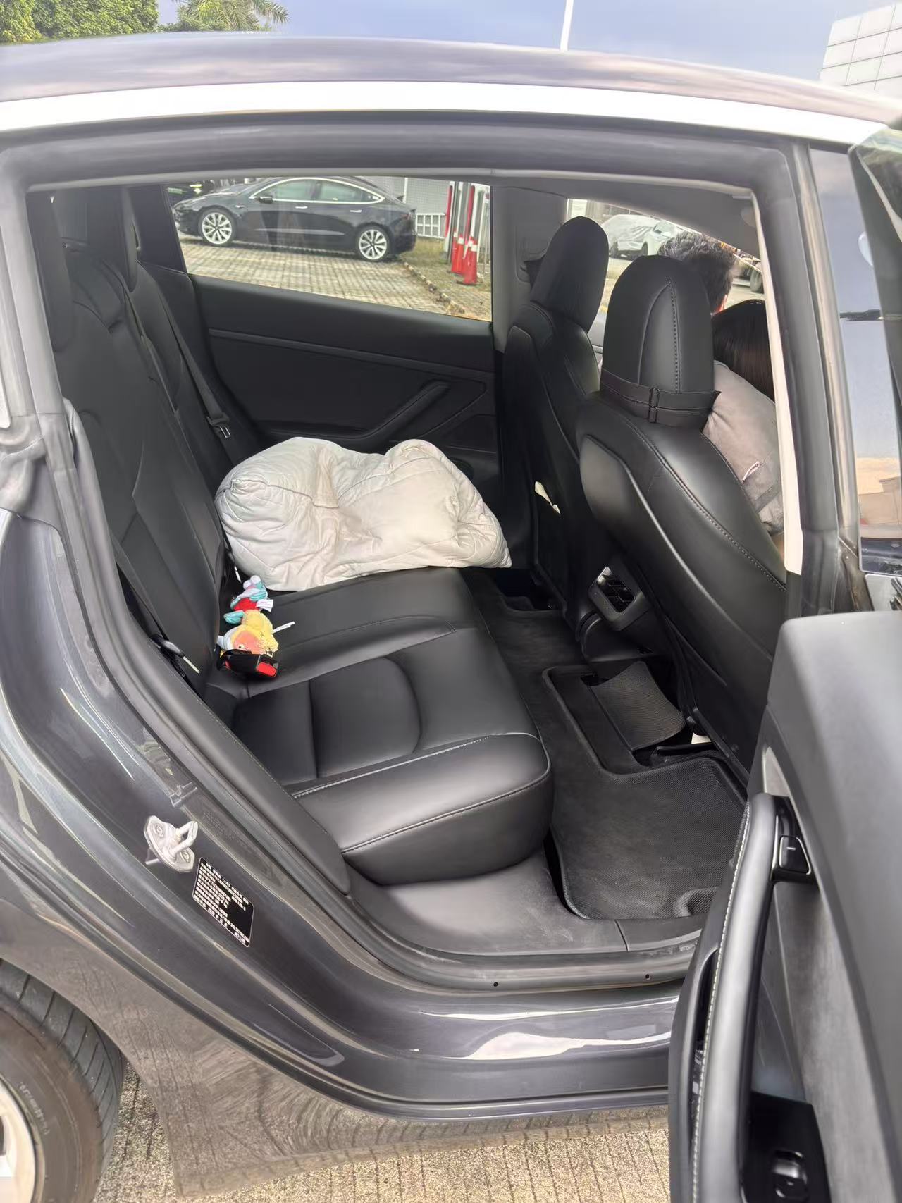Tesla Model 3 2020 car image #6