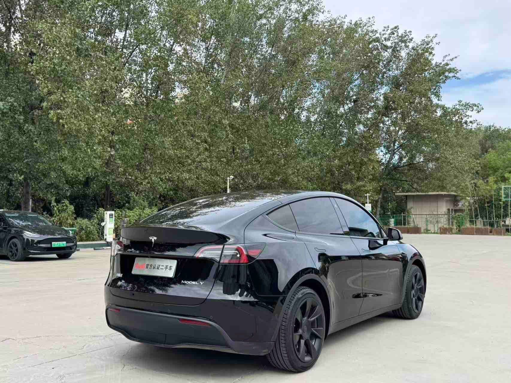 Tesla Model Y 2023 #6 Tesla Model Y 2023 car image #6
