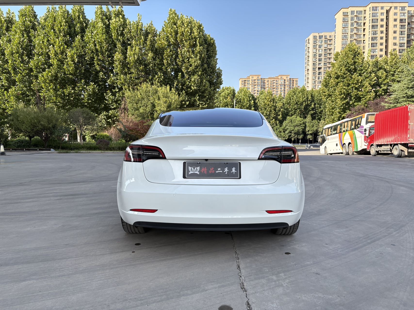 Tesla Model 3 2021 #9 Tesla Model 3 2021 car image #9