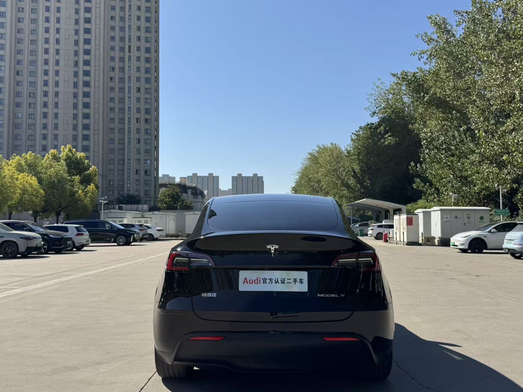 Tesla Model Y 2022 #7 Tesla Model Y 2022 car image #7
