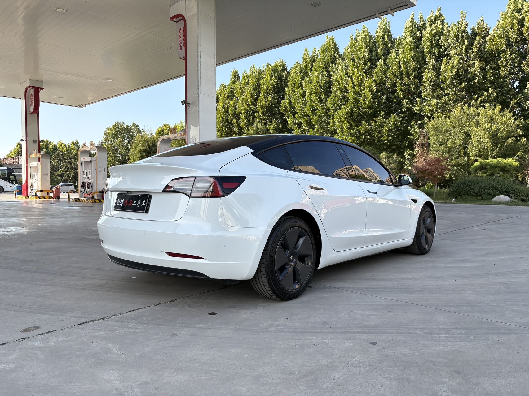 Tesla Model 3 2021 #10 Tesla Model 3 2021 car image #10