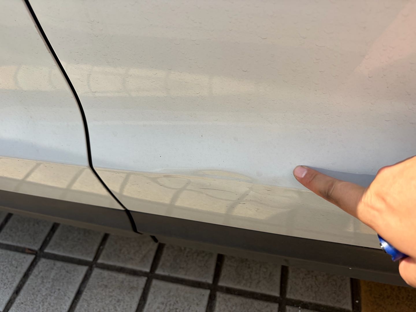 2016 #31 2016 car image #31