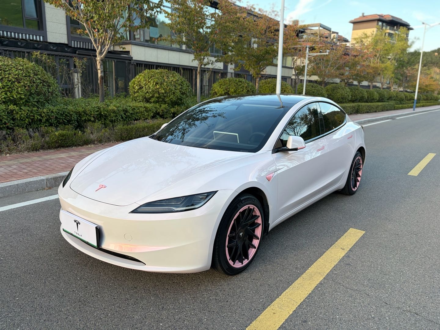 Tesla Model 3 2023 #2 Tesla Model 3 2023 car image #2