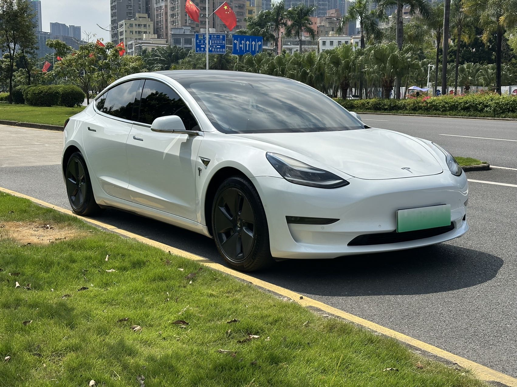 Tesla Model 3 (Imported) 2019 #5 Tesla Model 3 (Imported) 2019 immagine di auto #5