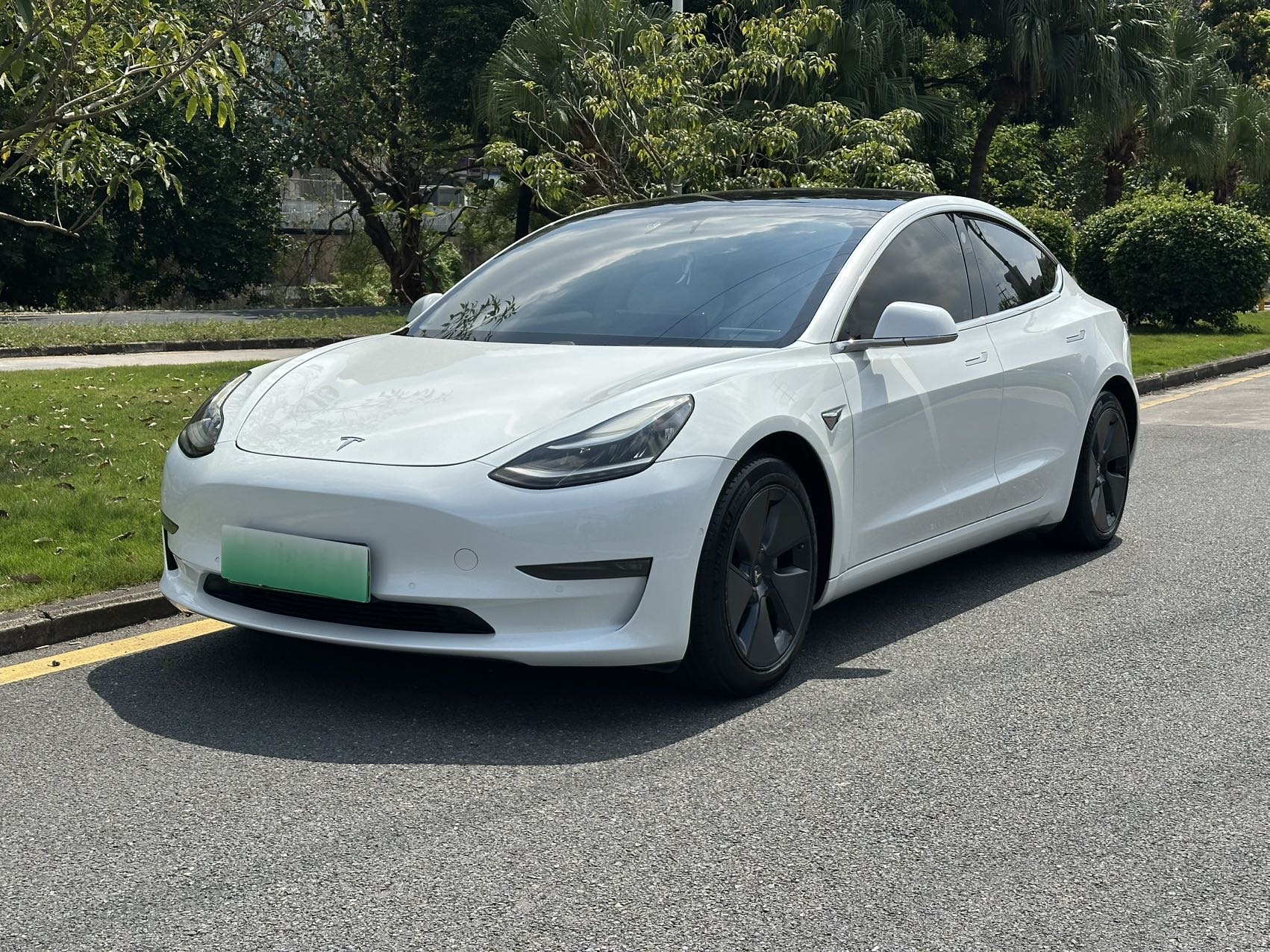 Tesla Model 3 (Imported) 2019 #2 Tesla Model 3 (Imported) 2019 immagine di auto #2