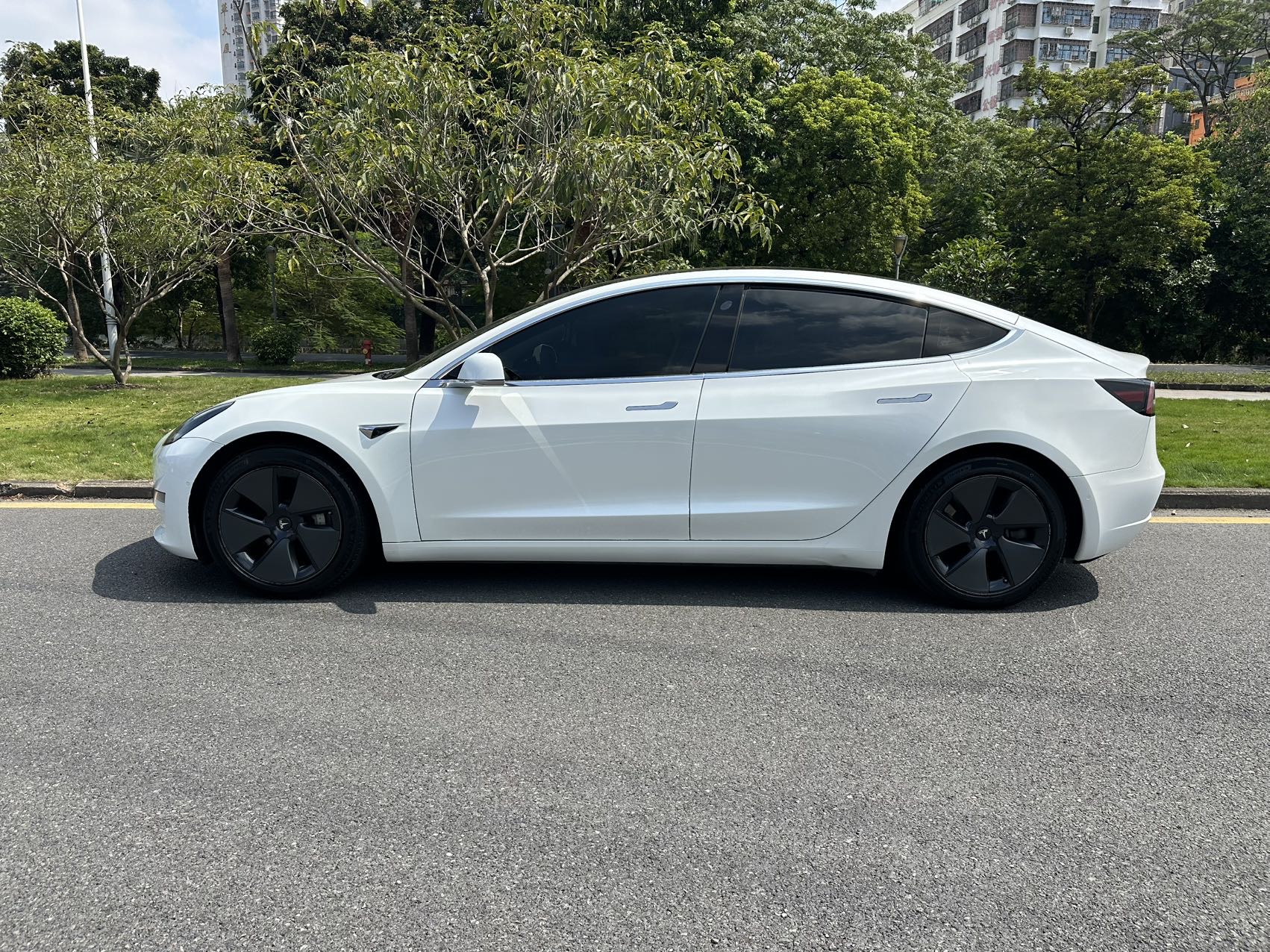 Tesla Model 3 (Imported) 2019 #7 Tesla Model 3 (Imported) 2019 immagine di auto #7