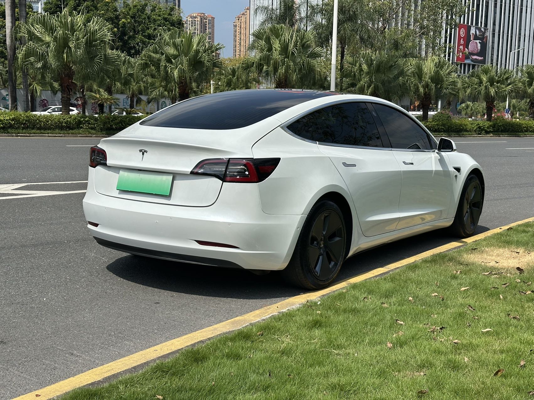 Tesla Model 3 (Imported) 2019 #6 Tesla Model 3 (Imported) 2019 immagine di auto #6