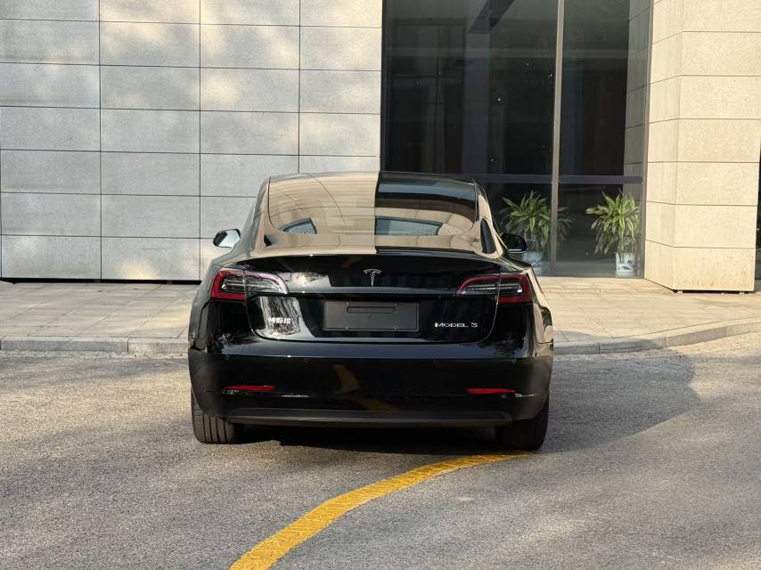 Tesla Model 3 2020 #10 Tesla Model 3 2020 изображение автомобиля #10
