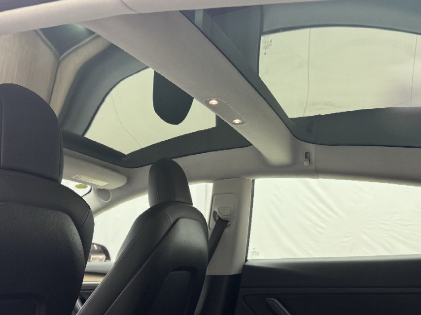 Tesla Model 3 2021 #9 Tesla Model 3 2021 car image #9
