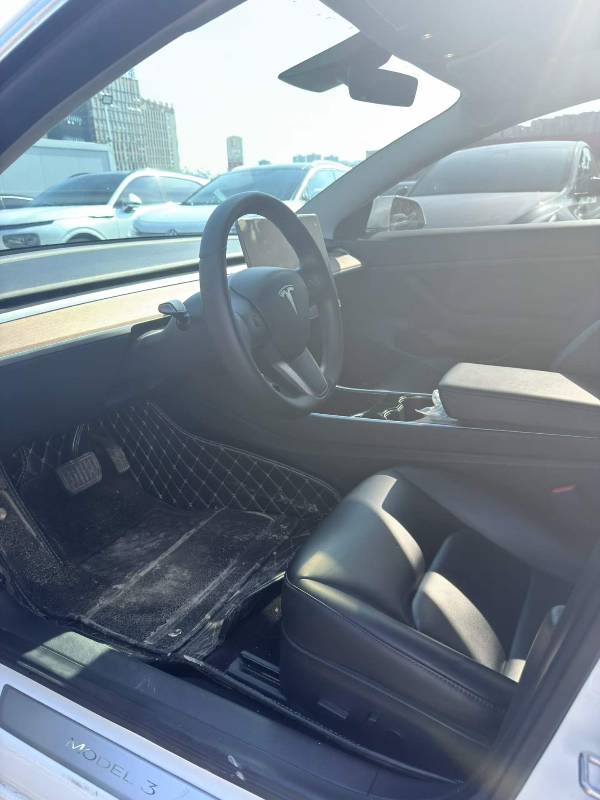 Tesla Model 3 2020 #4 Tesla Model 3 2020 car image #4