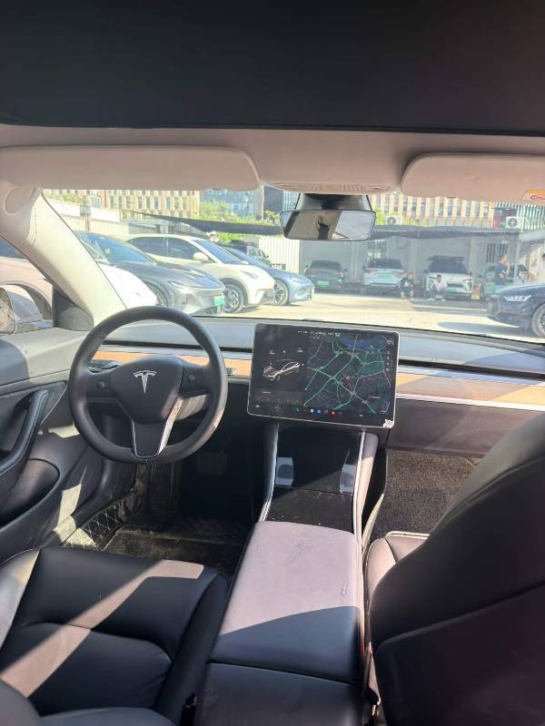Tesla Model 3 2020 #8 Tesla Model 3 2020 car image #8