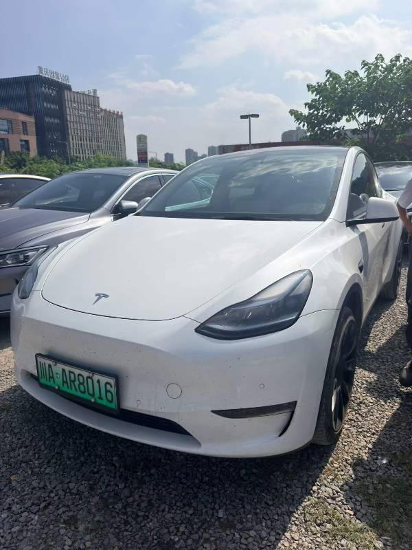 Tesla Model Y 2023 Tesla Model Y 2023 car image