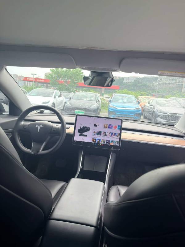 Tesla Model 3 2020 #8 Tesla Model 3 2020 car image #8