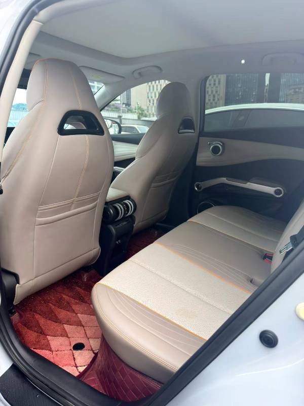 BYD Yuan Plus 2023 car image #6
