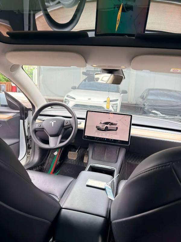 Tesla Model 3 2022 car image #8