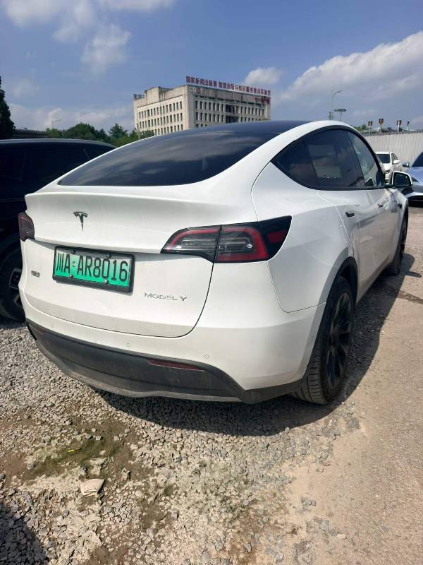 Tesla Model Y 2023 #3 Tesla Model Y 2023 car image #3