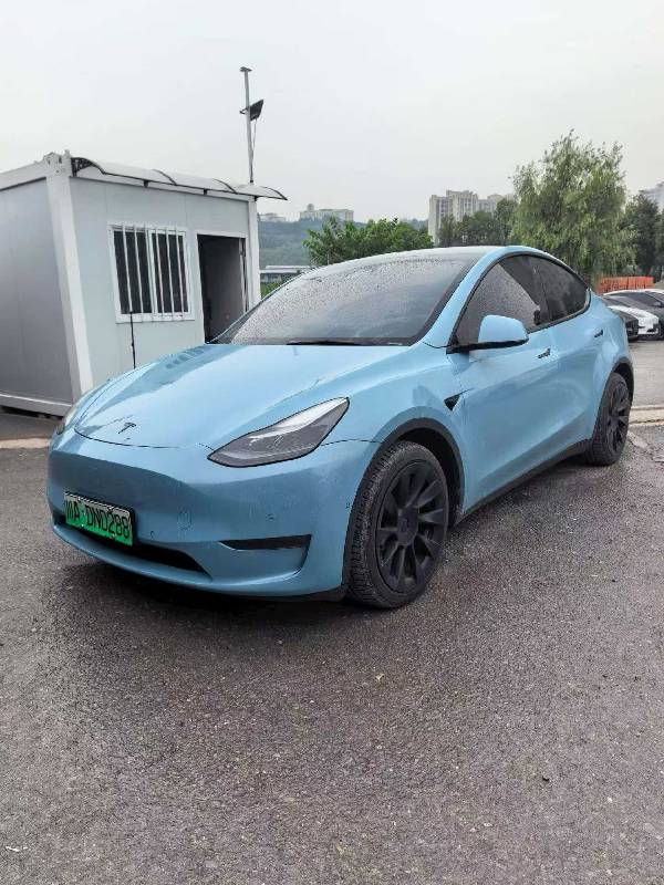 Tesla Model Y 2021 car image 