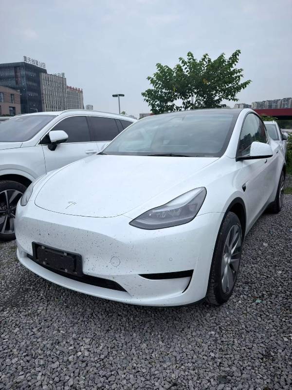Tesla Model Y 2022 car image 
