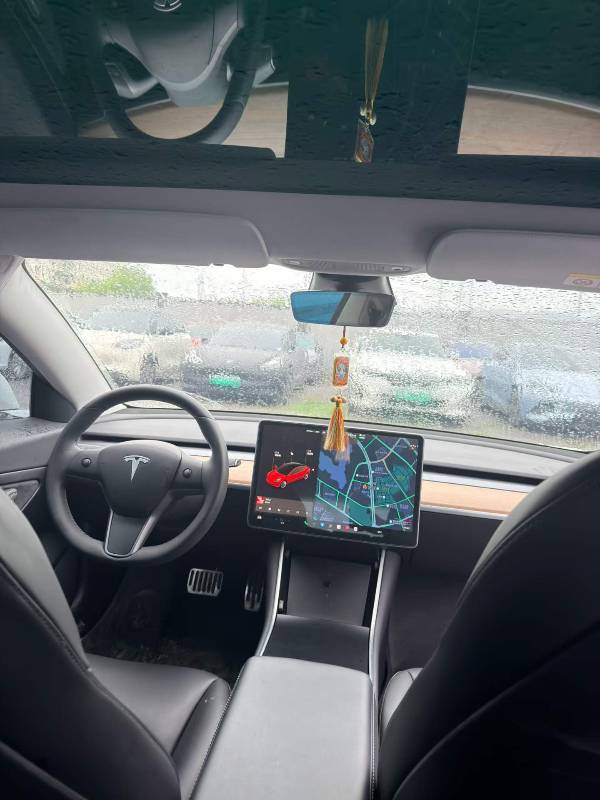 Tesla Model 3 2020 #8 Tesla Model 3 2020 immagine di auto #8