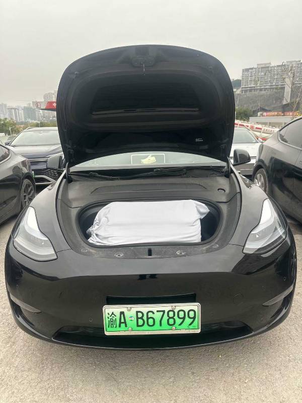 Tesla Model Y 2022 car image #8