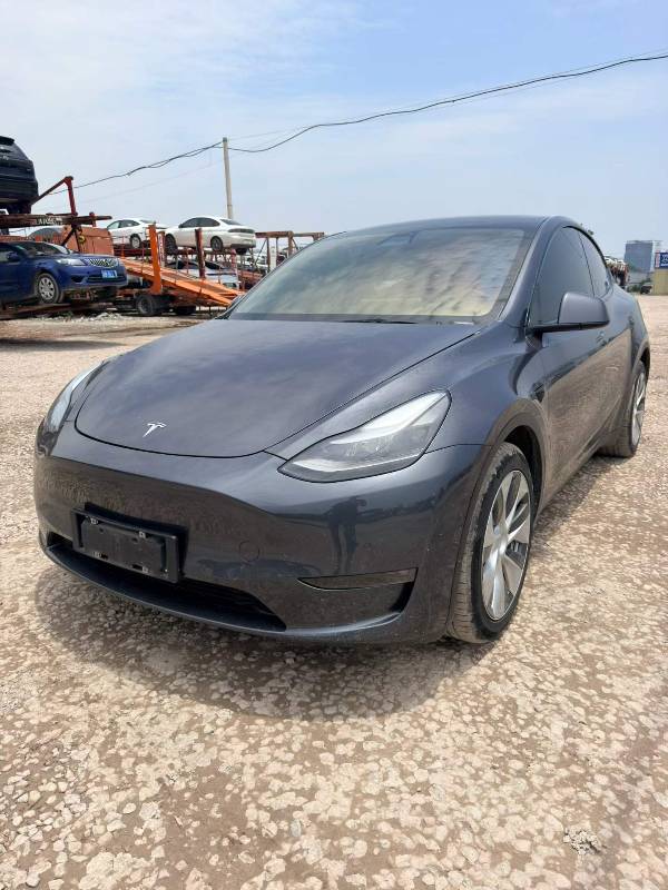 Tesla Model Y 2022 Tesla Model Y 2022 car image