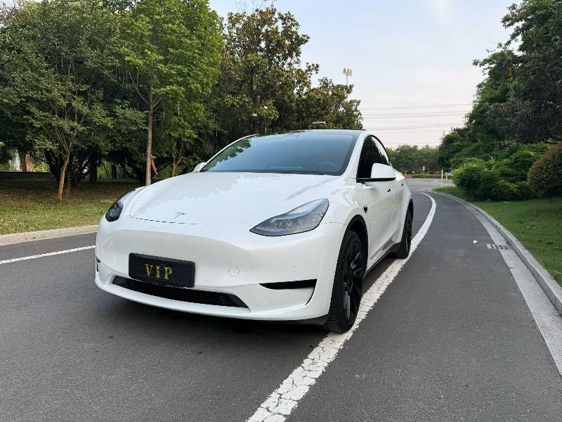 Tesla Model Y 2022 car image 