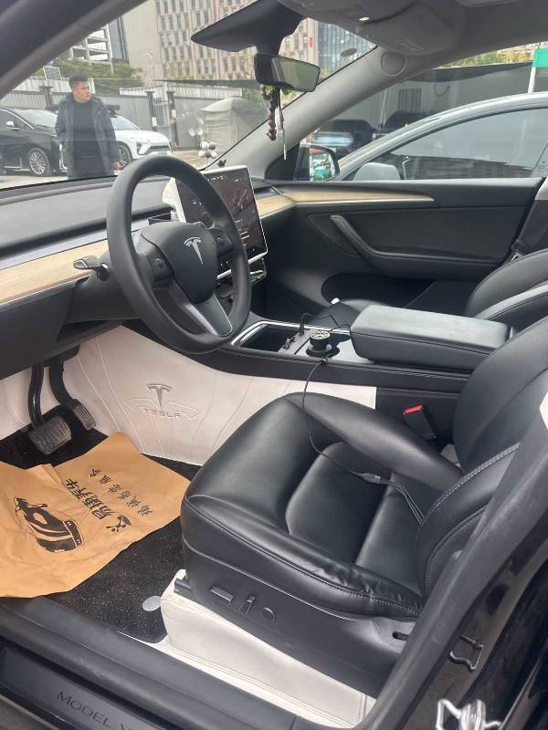 Tesla Model Y 2022 car image #6