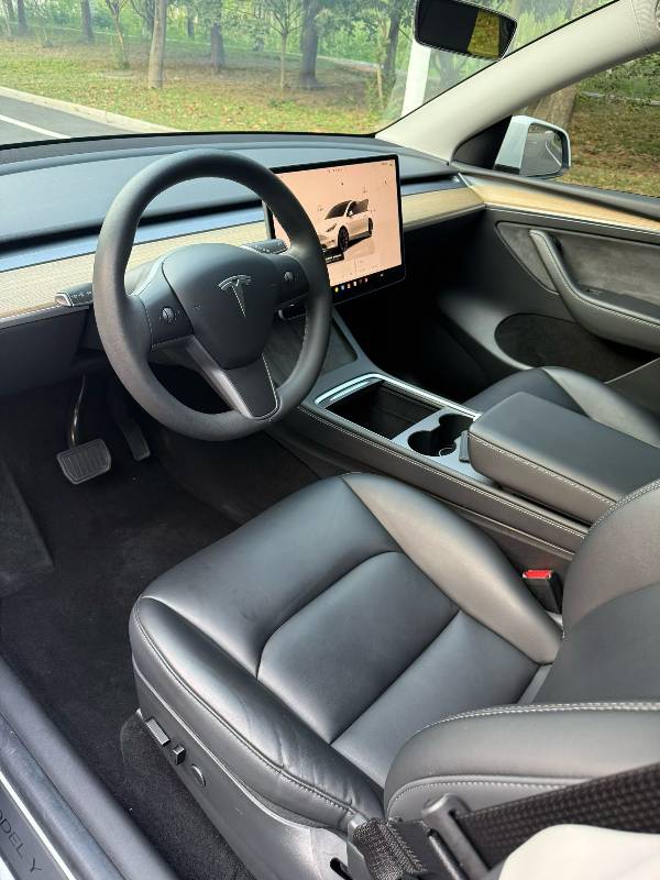 Tesla Model Y 2022 car image #4