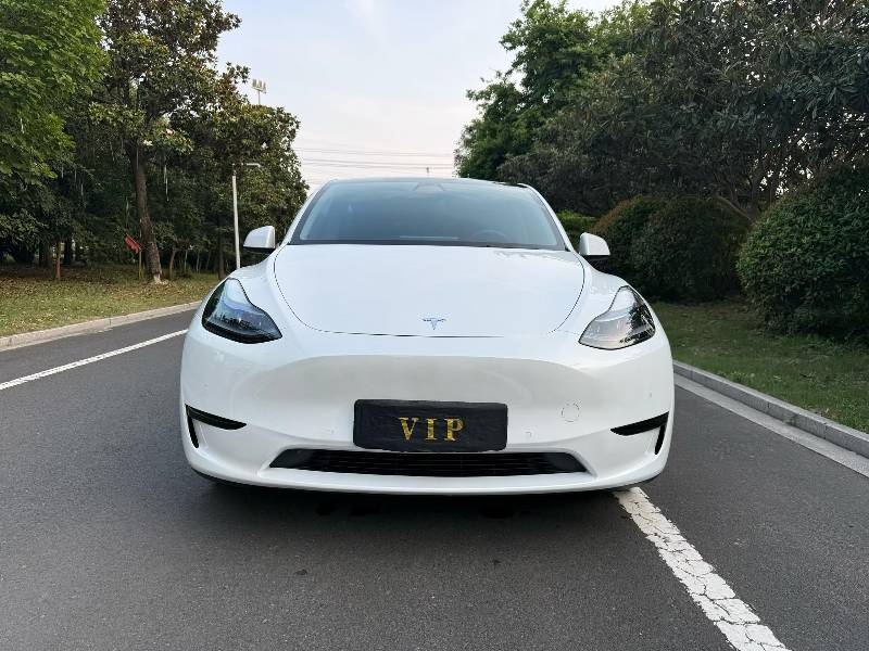 Tesla Model Y 2022 car image #2