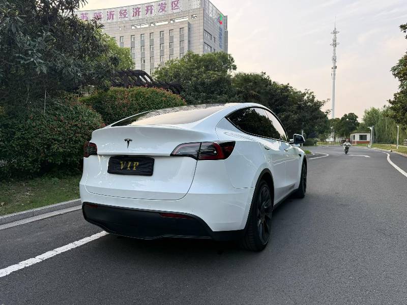 Tesla Model Y 2022 car image #7