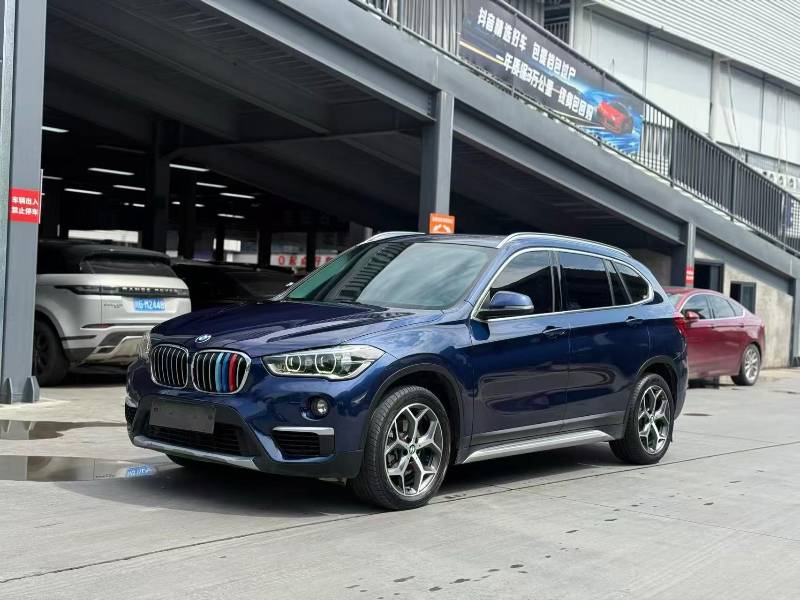BMW X1 2019 car image 