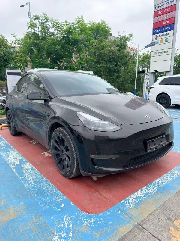 Tesla Model Y 2022 car image #2