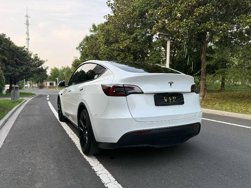Tesla Model Y 2022 car image #9