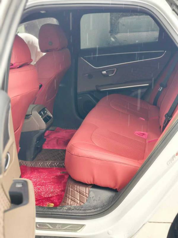 BYD Han 2023 car image #8