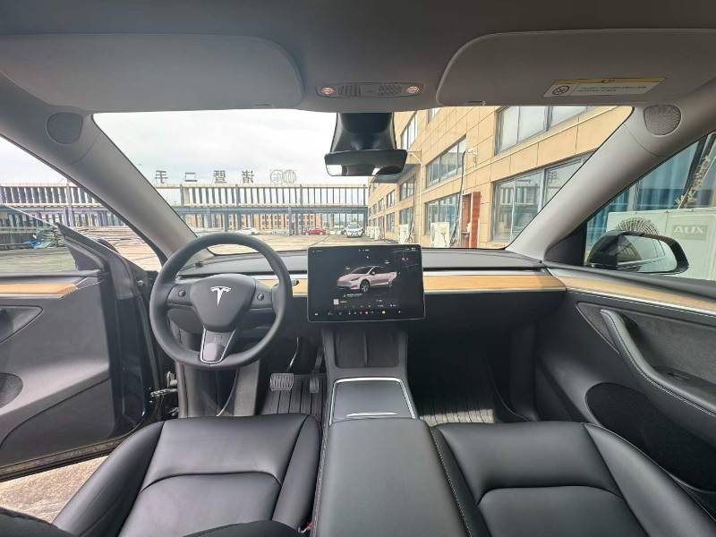 Tesla Model Y 2022 car image #6