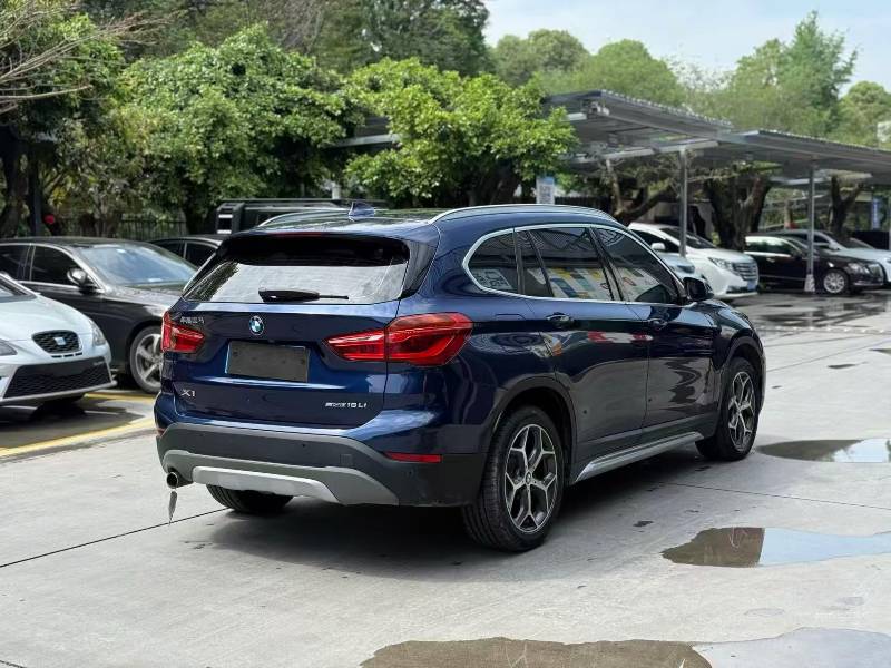 BMW X1 2019 car image #9