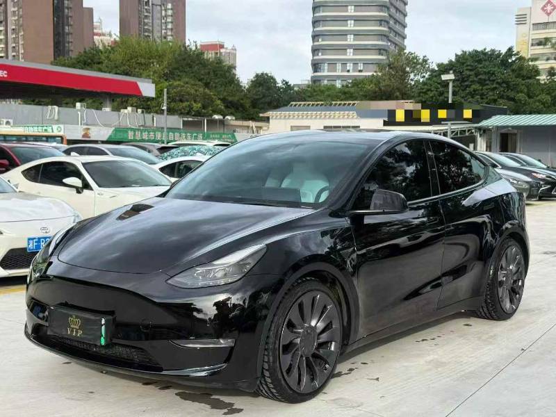 Tesla Model Y 2022 Tesla Model Y 2022 car image