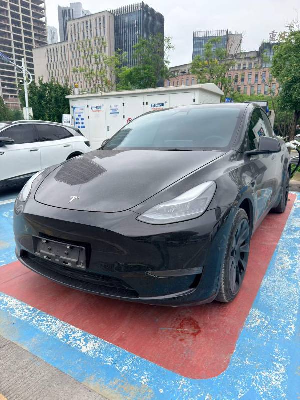 Tesla Model Y 2022 car image 