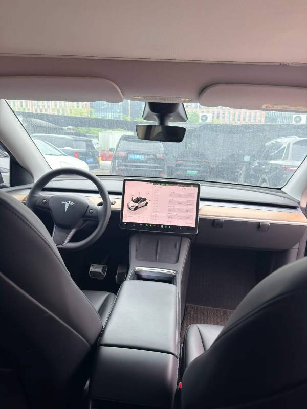 Tesla Model Y 2022 car image #8