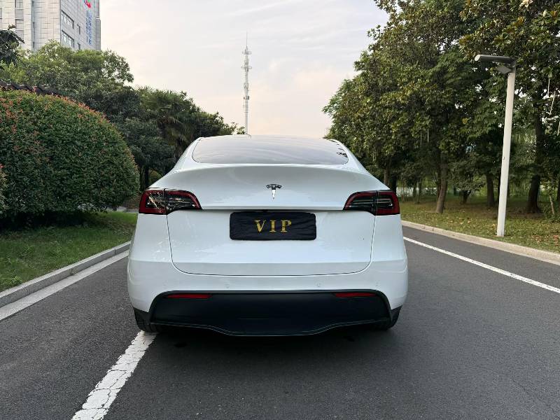 Tesla Model Y 2022 car image #8
