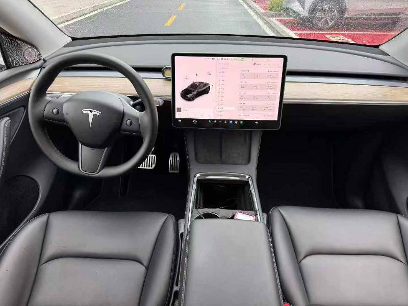 Tesla Model Y 2021 #9 Tesla Model Y 2021 car image #9
