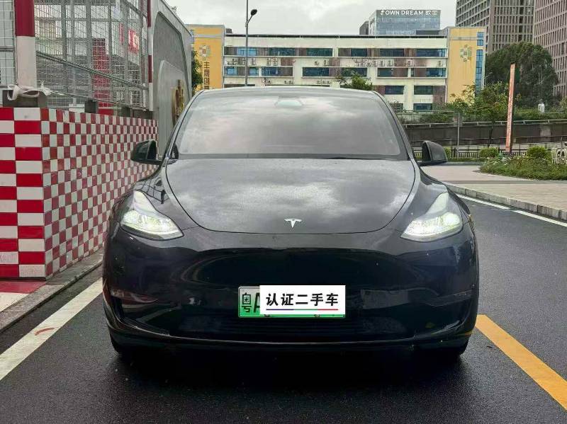 Tesla Model Y 2021 Tesla Model Y 2021 car image