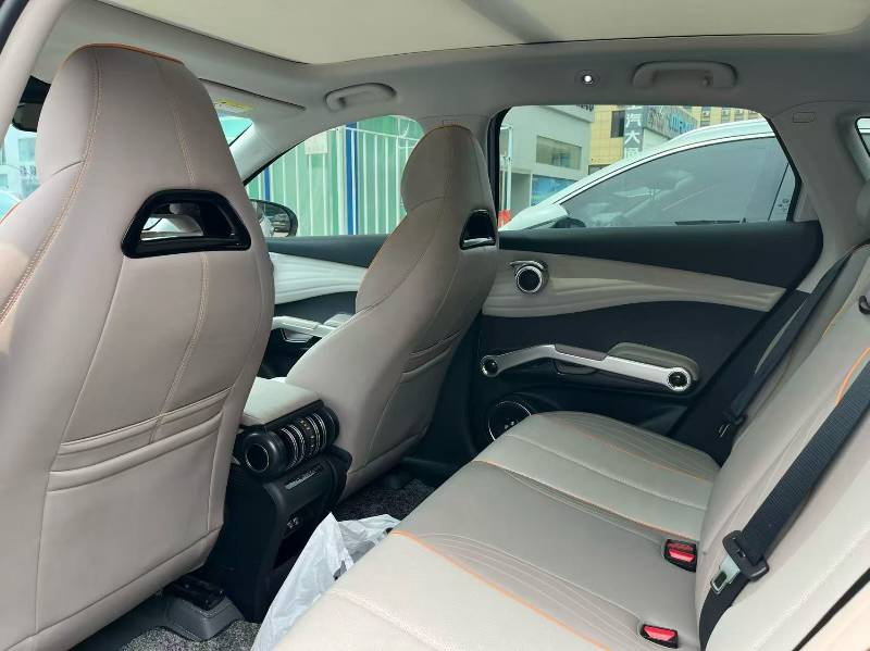 BYD Yuan Plus 2023 car image #4