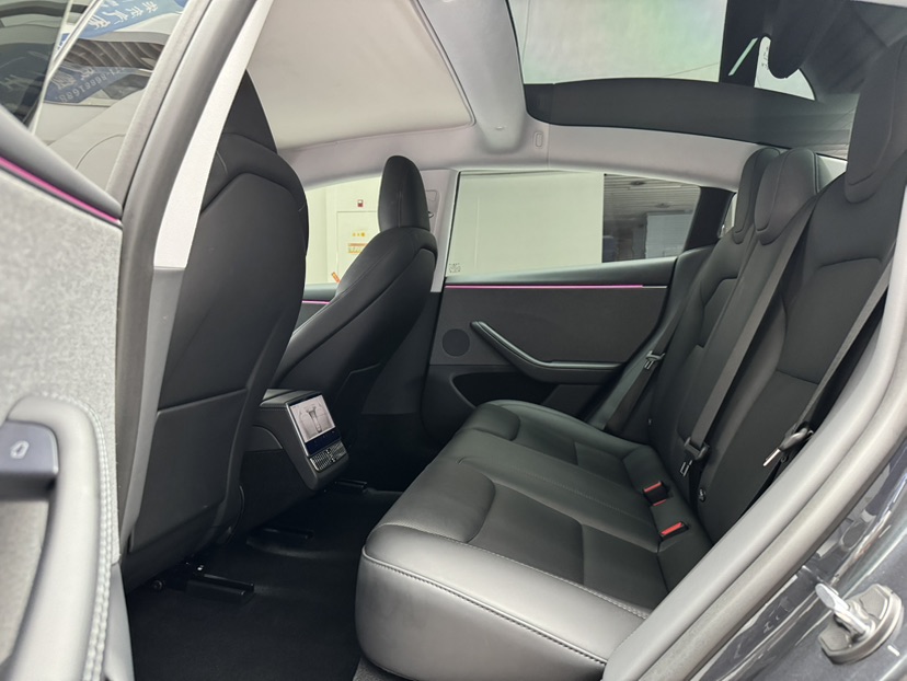 Tesla Model 3 2025 car image #12