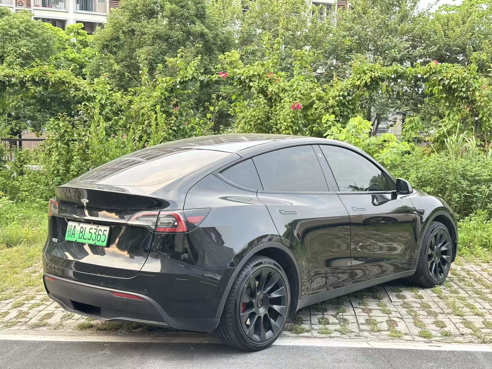Tesla Model Y 2022 car image #8
