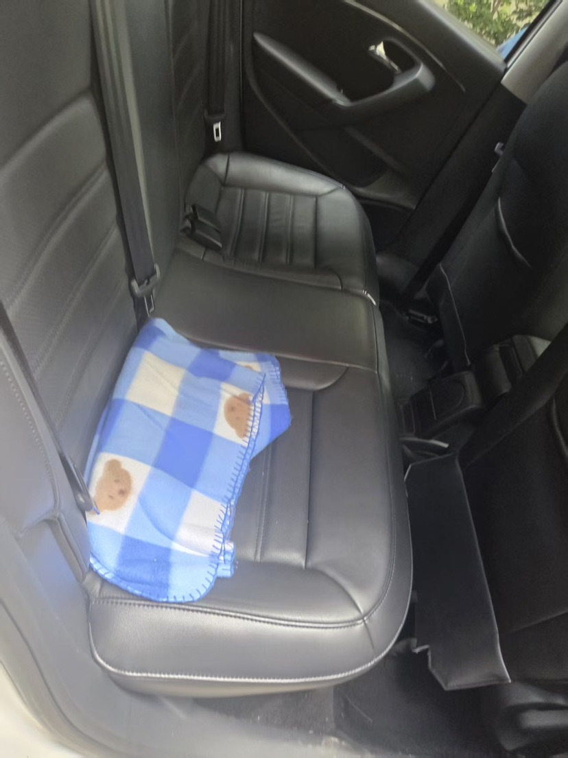 Volkswagen Polo 2017 #4 Volkswagen Polo 2017 car image #4