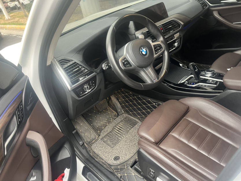 BMW X3 2020 car image #8